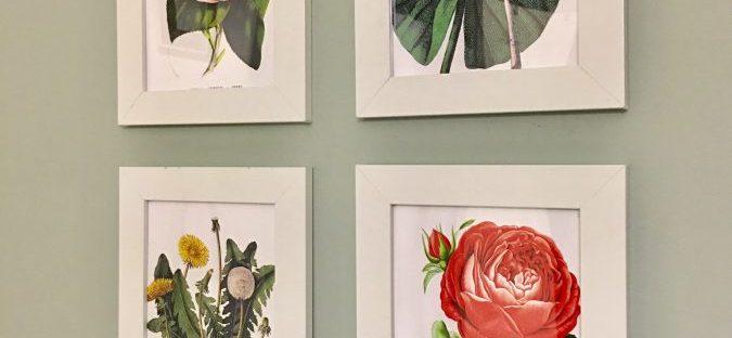 Free Floral Printables